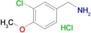 3-Chloro-4-methoxybenzylamine hydrochloride