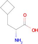 D-3-Cyclobutylalanine