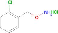 1-[(Ammoniooxy)methyl]-2-chlorobenzene hydrochloride