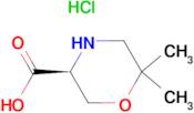 (S)-6,6-Dimethyl-morpholine-3-carboxylic acid hydrochloride