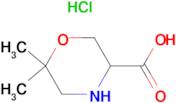 6,6-Dimethyl-morpholine-3-carboxylic acid hydrochloride