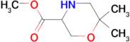 Methyl 6,6-dimethyl-morpholine-3-carboxylate