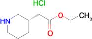 (S)-Ethyl 3-piperidinylacetate hydrochloride