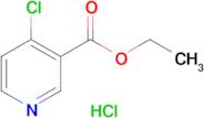 Ethyl 4-chloronicotinate hydrochloride