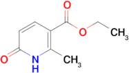 Ethyl 2-methyl-6-oxo-1,6-dihydropyridine-3-carboxylate