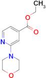 Ethyl 2-morpholinoisonicotinate