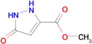 Methyl 5-hydroxy-pyrazole-3-carboxylate