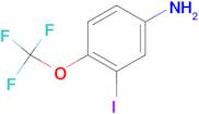 3-Iodo-4-(trifluoromethoxy)aniline