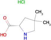 4,4-Dimethyl-L-proline hydrochloride