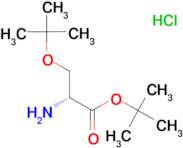 D-Ser(tbu)otBu-HCl