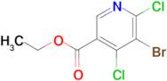 ETHYL 5-BROMO-4,6-DICHLORONICOTINATE