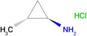 trans-2-Methylcyclopropanamine hydrochloride