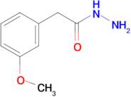 2-(3-Methoxyphenyl) ethanohydrazide