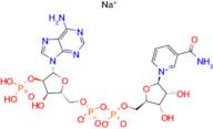 ß-Nicotinamide Adenine Dinucleotide Phosphate Sodium Salt Hydrate, oxidized form [for Biochemical Research]