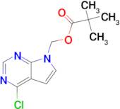 (4-Chloro-7H-pyrrolo[2,3-d]pyrimidin-7-yl)methyl pivalate