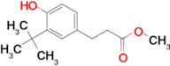 Methyl 3-(3-(tert-butyl)-4-hydroxyphenyl)propanoate