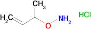 O-(But-3-en-2-yl)hydroxylamine hydrochloride