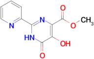 Methyl 5-hydroxy-6-oxo-2-(pyridin-2-yl)-1,6-dihydropyrimidine-4-carboxylate