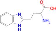 2-Amino-4-(1H-benzo[d]imidazol-2-yl)butyric acid