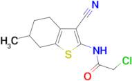 2-Chloro-N-(3-cyano-6-methyl-4,5,6,7-tetrahydro-benzo[b]thiophen-2-yl)-acetamide