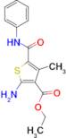 2-Amino-4-methyl-5-phenylcarbamoyl-thiophene-3-carboxylic acid ethyl ester