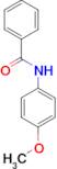 N-(4-Methoxy-phenyl)-benzamide