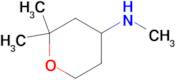 (2,2-Dimethyl-tetrahydro-pyran-4-yl)-methyl-amine