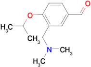 3-Dimethylaminomethyl-4-isopropoxy-benzaldehyde