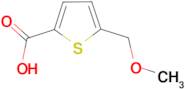 5-Methoxymethyl-thiophene-2-carboxylic acid