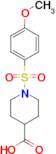 1-(4-Methoxy-benzenesulfonyl)-piperidine-4-carboxylic acid