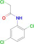 2-Chloro-N-(2,5-dichloro-phenyl)-acetamide