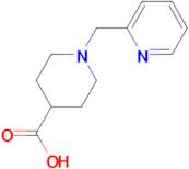 1-Pyridin-2-ylmethyl-piperidine-4-carboxylic acid