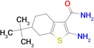 2-Amino-6-tert-butyl-4,5,6,7-tetrahydro-benzo[b]thiophene-3-carboxylic acid amide