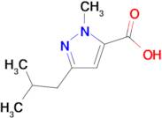 3-Isobutyl-1-methyl-1H-pyrazole-5-carboxylic acid