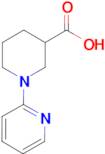 3,4,5,6-Tetrahydro-2H-[1,2']bipyridinyl-3-carboxylic acid