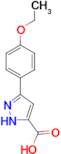 3-(4-Ethoxyphenyl)-1H-pyrazole-5-carboxylic acid