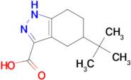 5-tert-Butyl-4,5,6,7-tetrahydro-1H-indazole-3-carboxylic acid