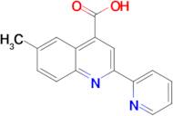 6-Methyl-2-pyridin-2-yl-quinoline-4-carboxylic acid