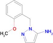 2-(2-Methoxy-benzyl)-2H-pyrazol-3-ylamine