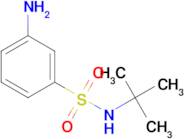 3-Amino-N-tert-butyl-benzenesulfonamide