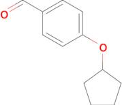 4-Cyclopentyloxy-benzaldehyde