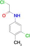 2-Chloro-N-(3-chloro-4-methyl-phenyl)-acetamide