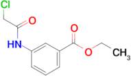 3-(2-Chloro-acetylamino)-benzoic acid ethyl ester