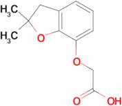 (2,2-Dimethyl-2,3-dihydro-benzofuran-7-yloxy)-acetic acid