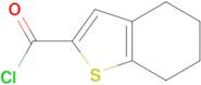 4,5,6,7-Tetrahydro-benzo[b]thiophene-2-carbonyl chloride