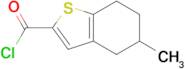 5-Methyl-4,5,6,7-tetrahydro-benzo[b]thiophene-2-carbonyl chloride