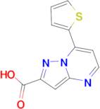 7-Thiophen-2-yl-pyrazolo[1,5-a]pyrimidine-2-carboxylic acid