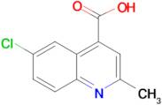 6-Chloro-2-methyl-quinoline-4-carboxylic acid