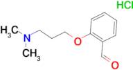 2-(3-Dimethylamino-propoxy)-benzaldehyde hydrochloride