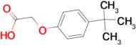 (4-tert-Butyl-phenoxy)-acetic acid